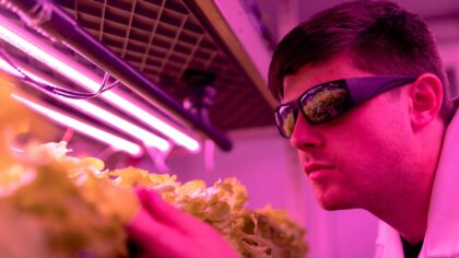 Vertikalūs ūkiai miestuose: kaip daugiaaukštės plantacijos gali pakeisti maisto auginimą