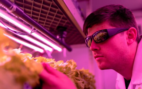 Vertikalūs ūkiai miestuose: kaip daugiaaukštės plantacijos gali pakeisti maisto auginimą