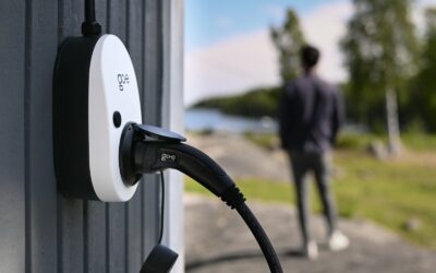 Ar pakanka paprasto kištukinio laido: kaip išsirinkti ir saugiai naudoti kabelį elektriniam automobiliui