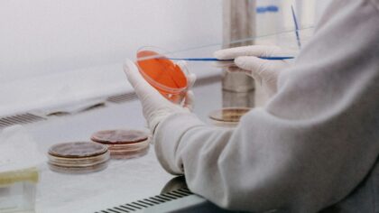 Biologiniai kompiuteriai iš gyvų neuronų: kuo jie skirsis nuo šiandienos procesorių ir kam to gali prireikti