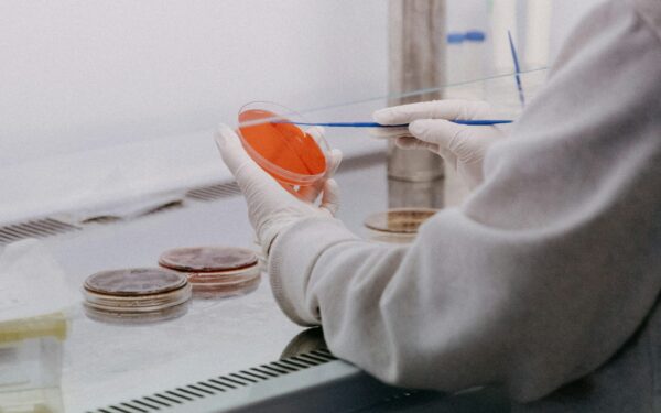 Biologiniai kompiuteriai iš gyvų neuronų: kuo jie skirsis nuo šiandienos procesorių ir kam to gali prireikti